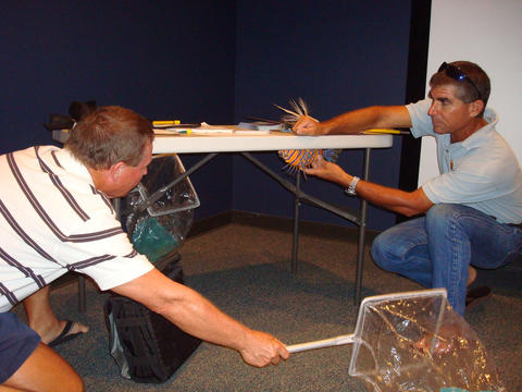Lad Akins demonstrates safe collection technique of the venomous lionfish during a workshop in the Florida Keys.