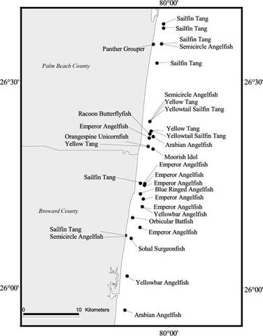 A map showing the hotspot of non-native marine fishes off the southeast coast of Florida that was reported by Semmens et al. The sightings are the result of REEF's volunteer monitoring program. Click on image for a larger view.