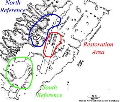 Location of REEF's monitoring sites.