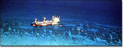 The M/V Wellwood aground on Molasses Reef, Key Largo, in 1984. Photo courtesy FKNMS.