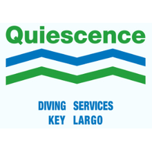 Quiescence